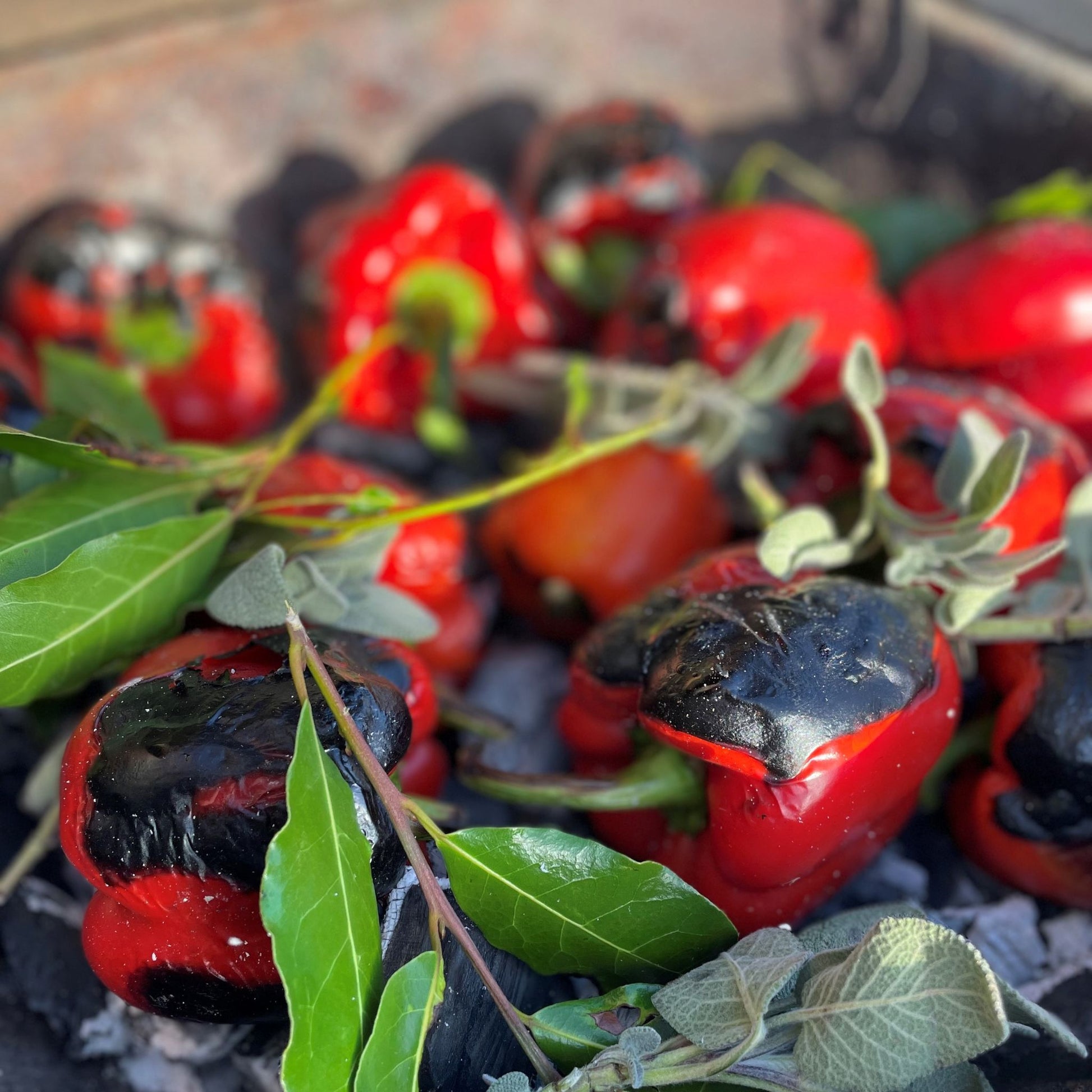 Char grilled red peppers with sage and bay leaves
