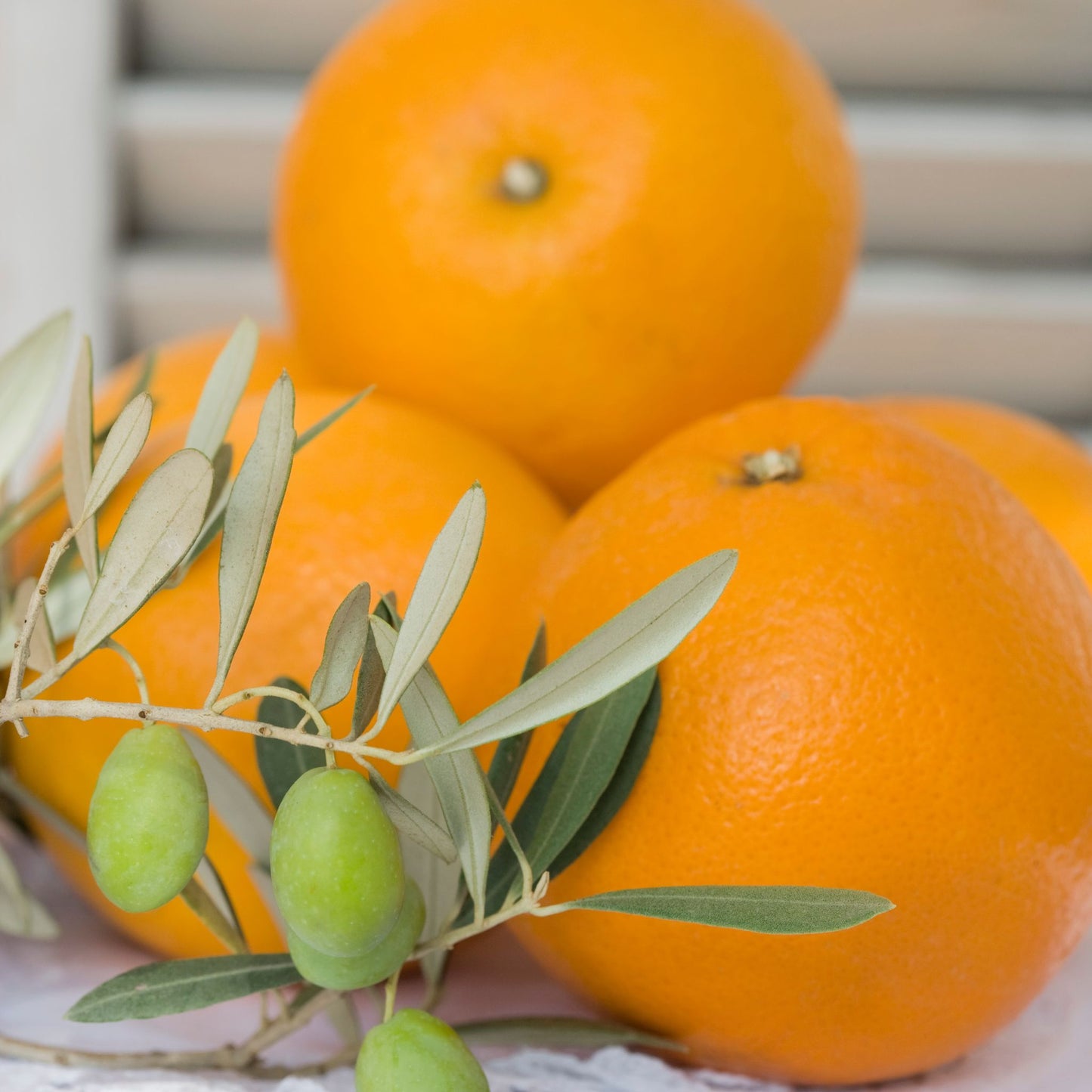 A stack of oranges and an olive branch with leaves and green olives