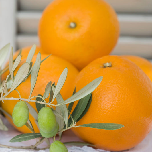 A stack of oranges and an olive branch with leaves and green olives
