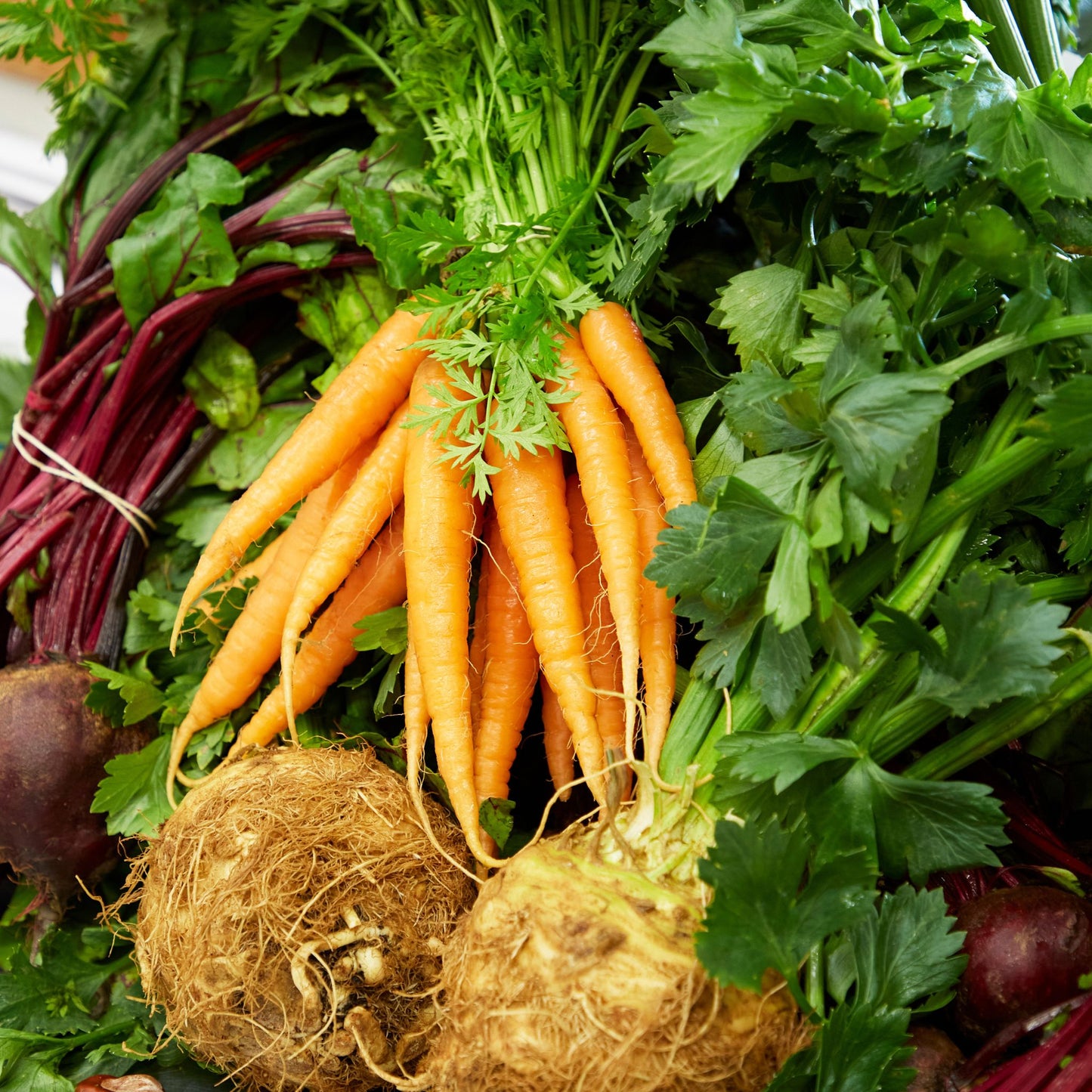 A pile of home grown vegetables including beetroots, carrots, celeriac